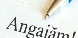 Sute de locuri de muncă disponibile în Olt. 29 de firme fac angajări la Slatina și Caracal. Ce meserii se caută