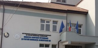 Restricții pentru crescătorii de oi și capre din Olt. DSVSA pregătește vaccinarea de urgență împotriva a două boli periculoase