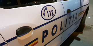 Furt de proporții într-o comună din Olt! Trei persoane au plecat cu 60 de oi de la o stână. Doi tineri au fost arestați