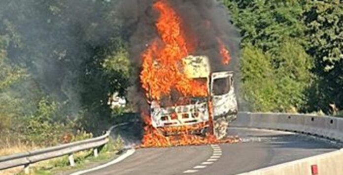 Camion in flacari - Copie (2)