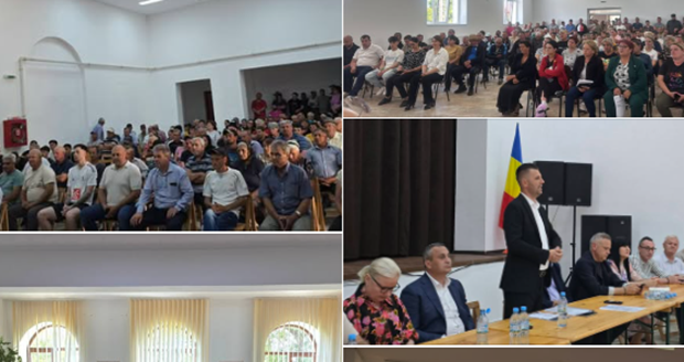 alegeri organizatii locale psd olt