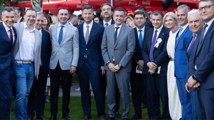 pucistii pnl cu grindeanu
