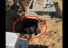 Oseminte umane în saci din rafie, descoperite într-o groapă dintr-un cimitir din Slatina. Polițiștii au deschis dosar penal