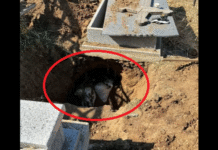 Oseminte umane în saci din rafie, descoperite într-o groapă dintr-un cimitir din Slatina. Polițiștii au deschis dosar penal