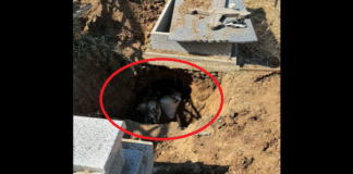 Oseminte umane în saci din rafie, descoperite într-o groapă dintr-un cimitir din Slatina. Polițiștii au deschis dosar penal
