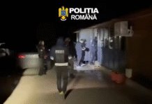 Percheziții de amploare în Olt! Cinci suspecți, vizați după furtul a 41 de televizoare. Prejudiciu de 50.000 de euro/ FOTO+VIDEO